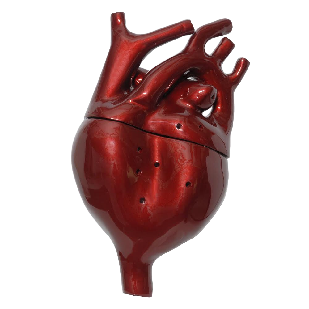 Anatomical heart sculpture by Osmeli Delgado